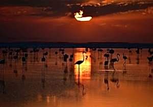 Salt Lake Tour from Cappadocia