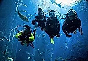 Marmaris Scuba Diving